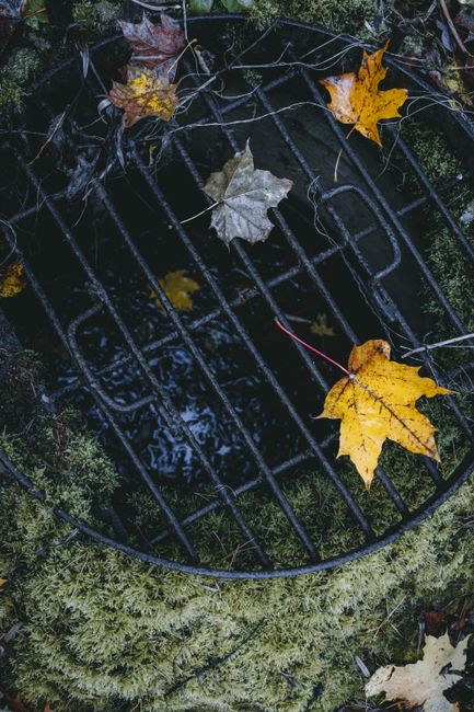 Herbstliche Dachrinnenwartung im Raum Hamburg – Schäden frühzeitig vermeiden